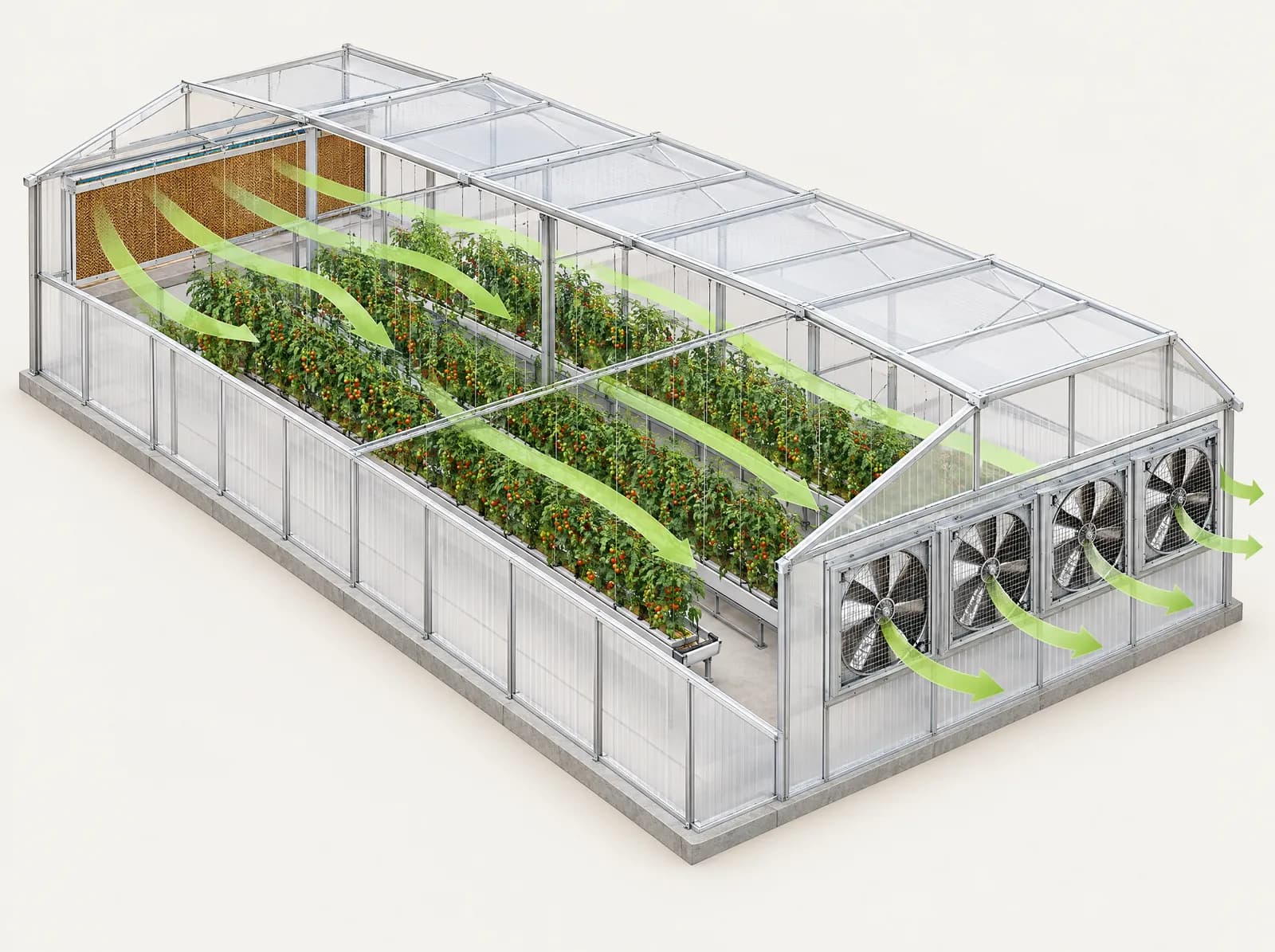 Greenhouse Fan